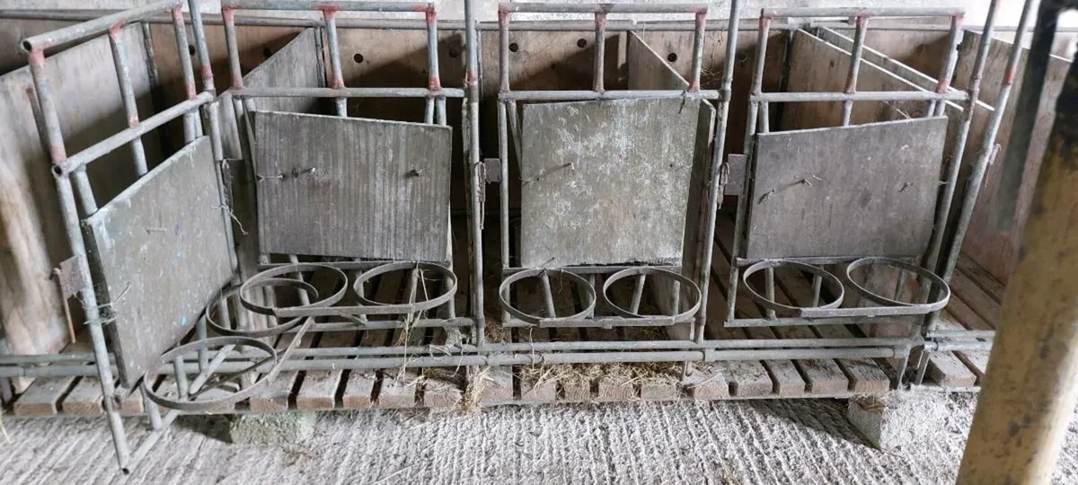 Calf pens - Image 3