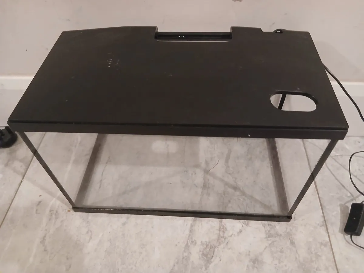 Fish tank - Image 4