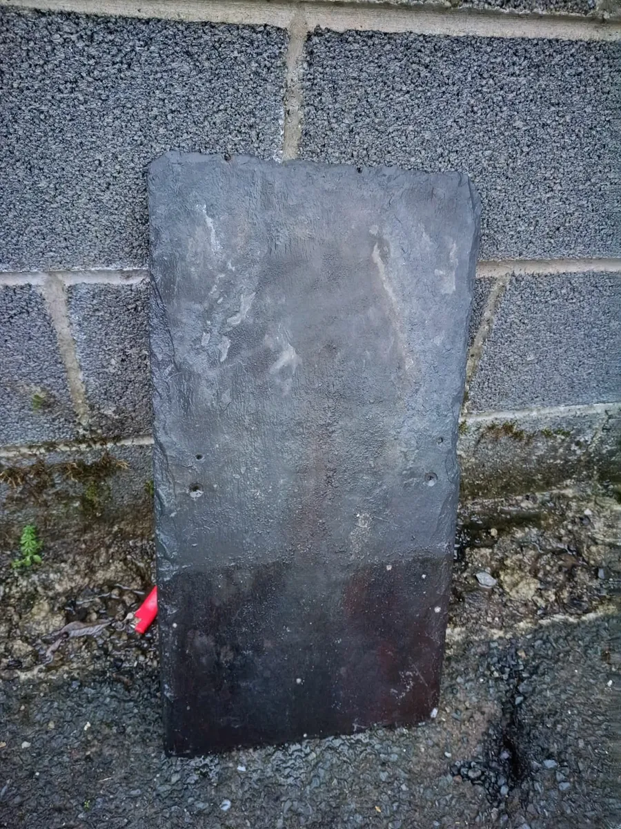 Peri props ,strong backs Acros ,Blue Bangor slates - Image 4