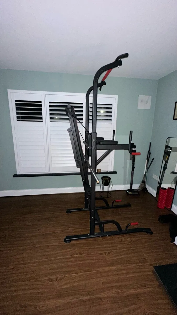 Gym Frame + Weights - Image 4