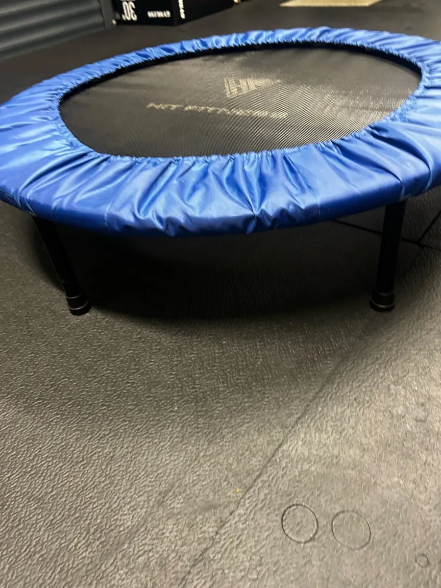 Rebounders - Image 2