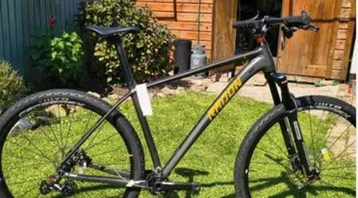 Radon Jealous AL Frame Alloy 20" w fork and parts - Image 2