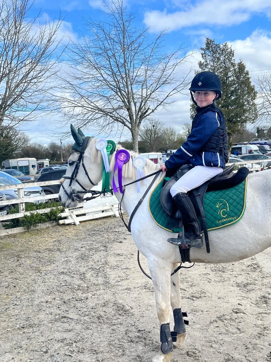 148 experienced pony - Image 1