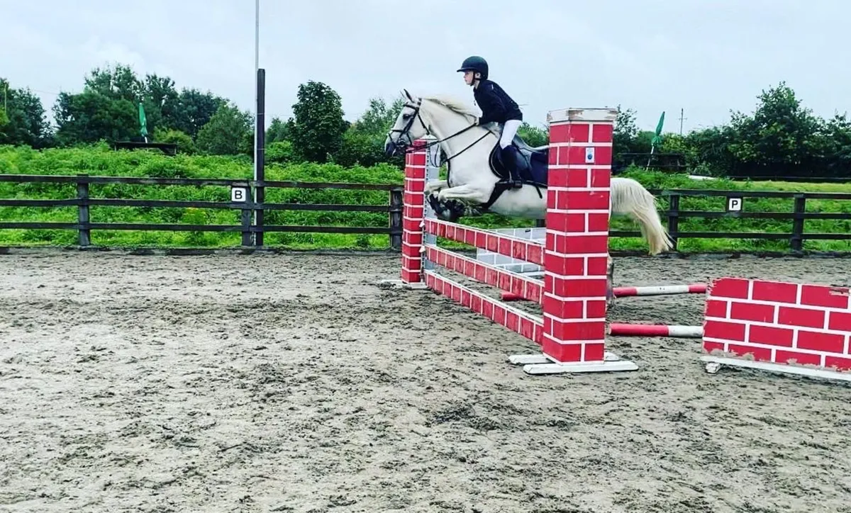 148 experienced pony - Image 2