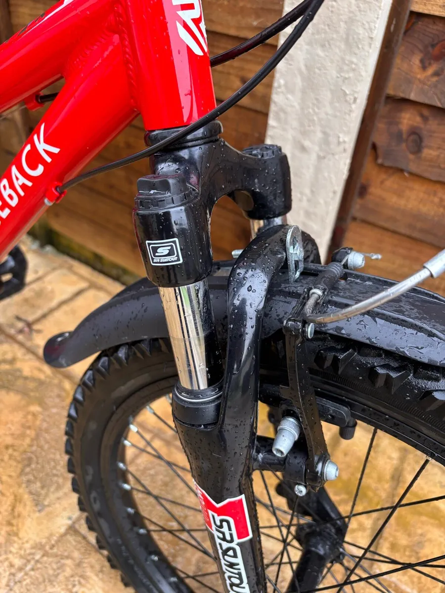 Ridgeback MX20 - Image 3