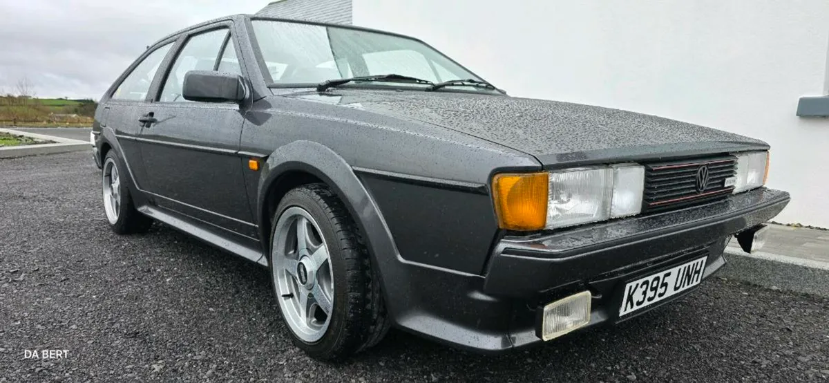 SCIROCCO  1 OF 1 - Image 1