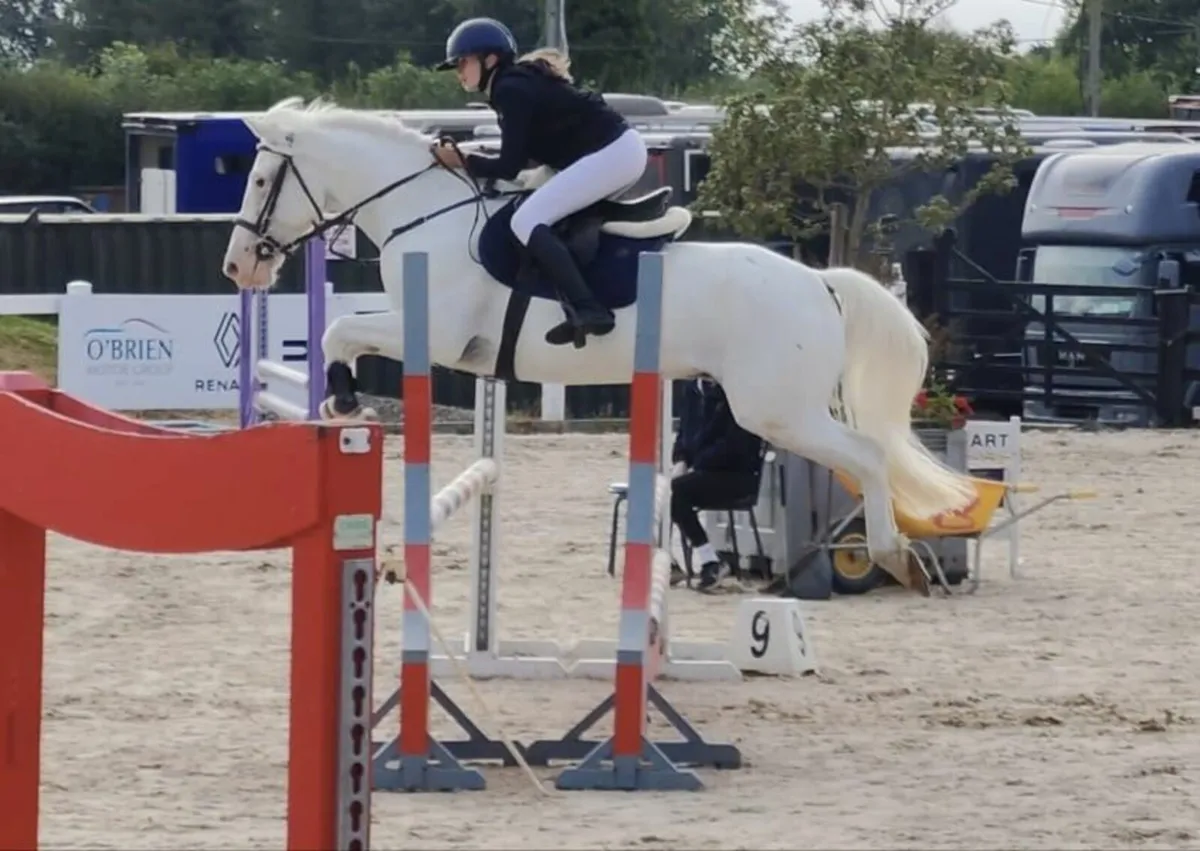 Potential top track pony 148cm 6yo - Image 1