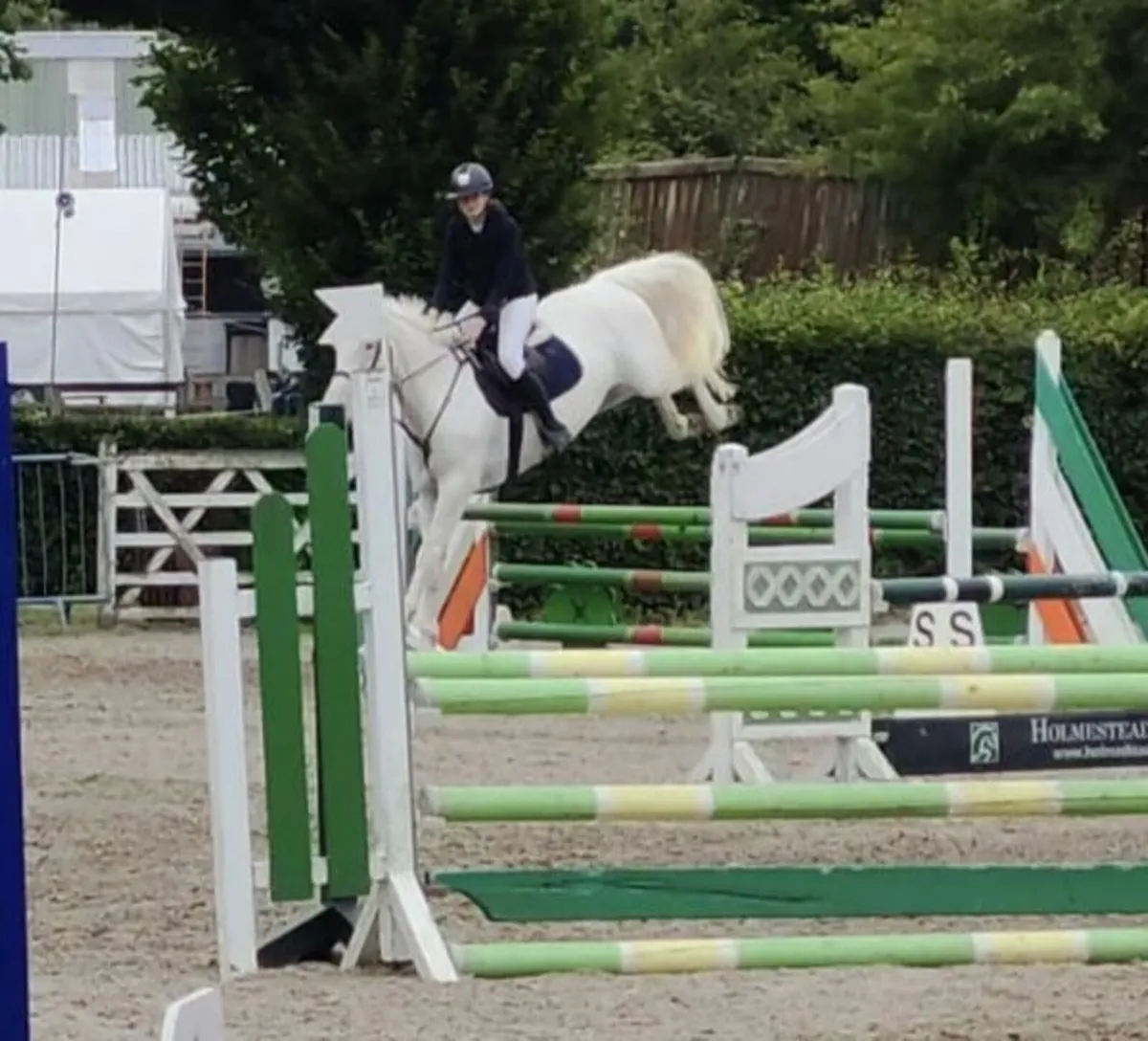 Potential top track pony 148cm 6yo - Image 2