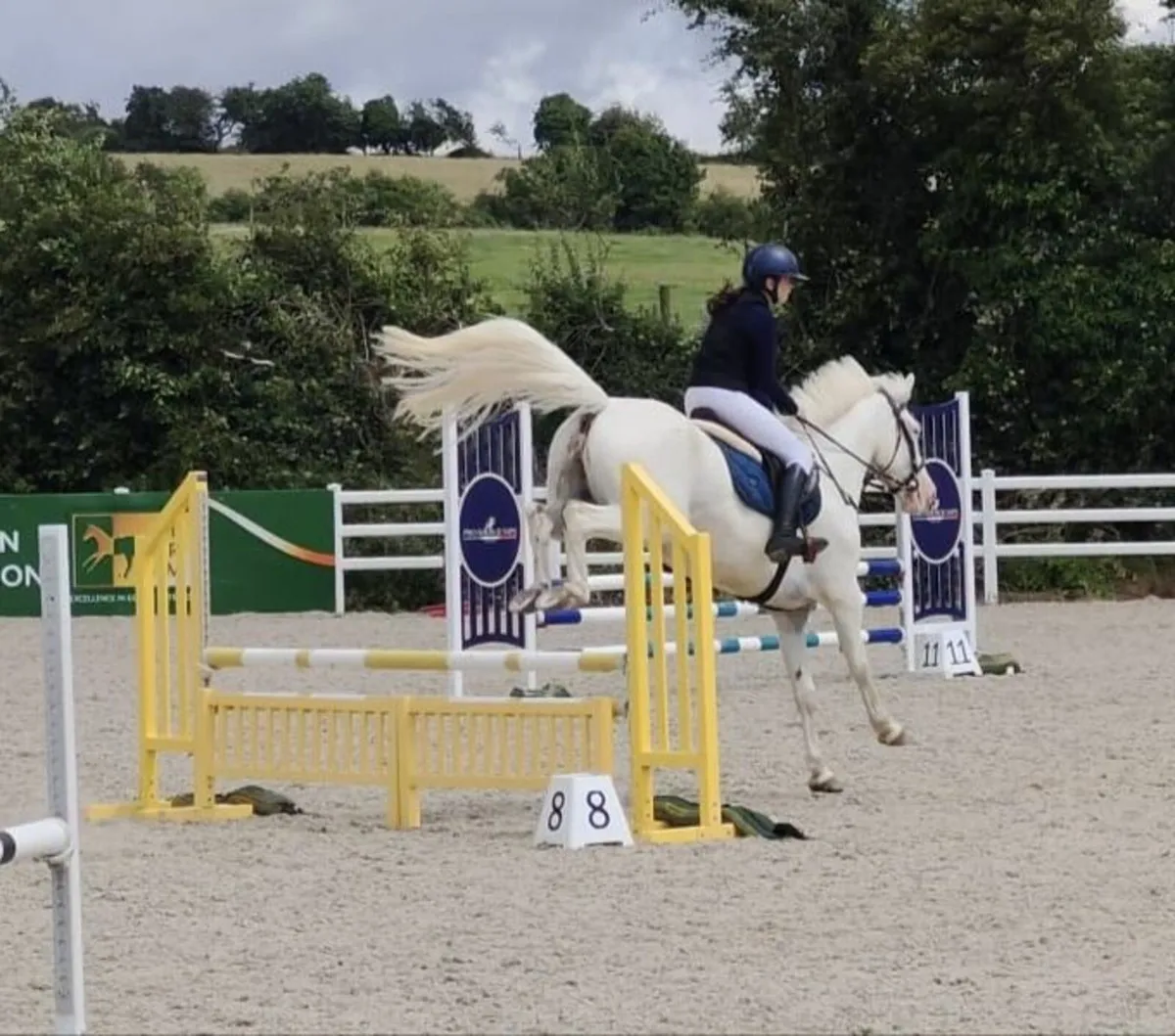 Potential top track pony 148cm 6yo - Image 4