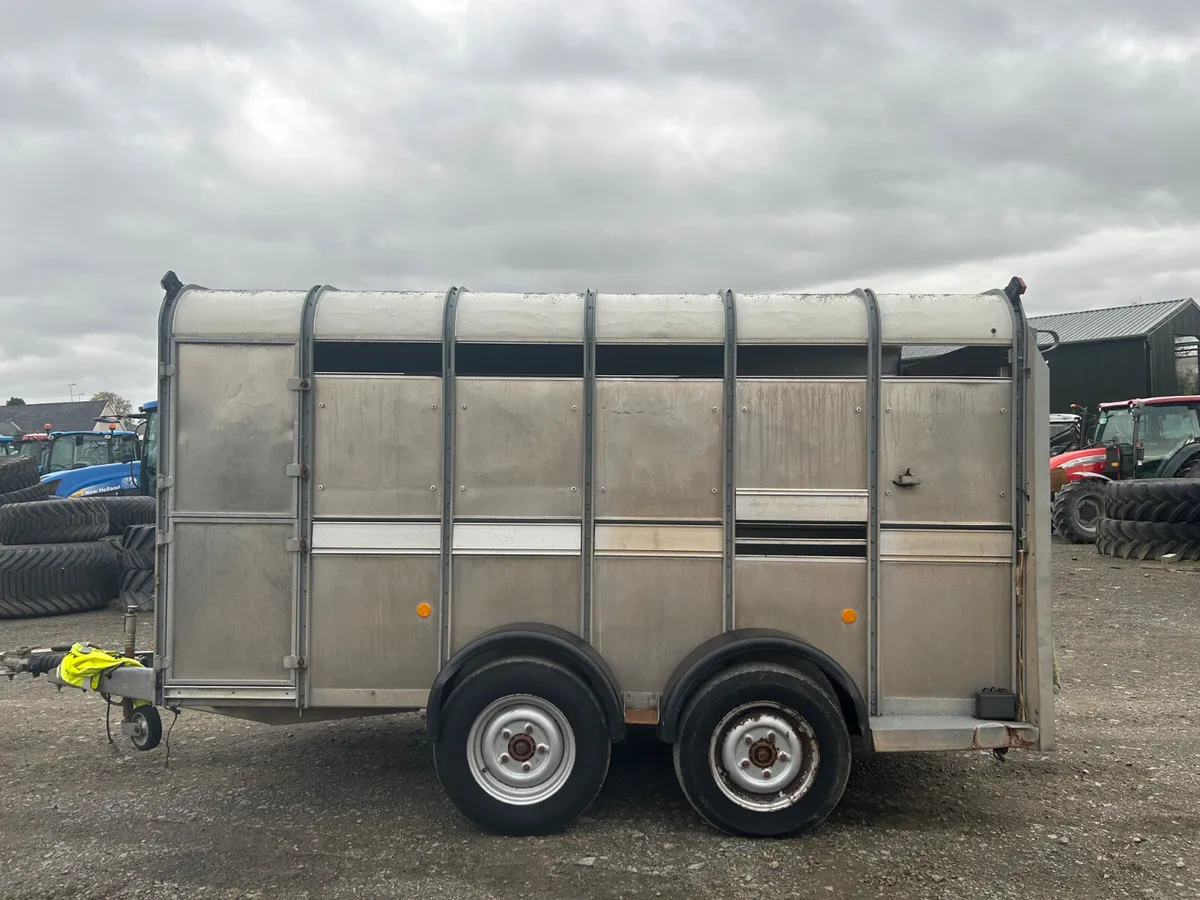 Ifor Wiliams 12x5(10) Cattle Trailer - Image 4