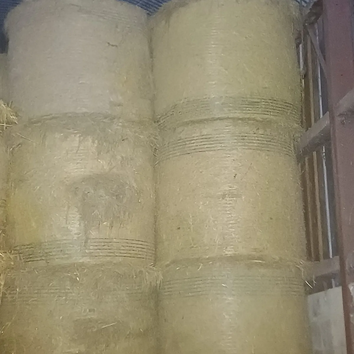 Silage & Hay - Image 2