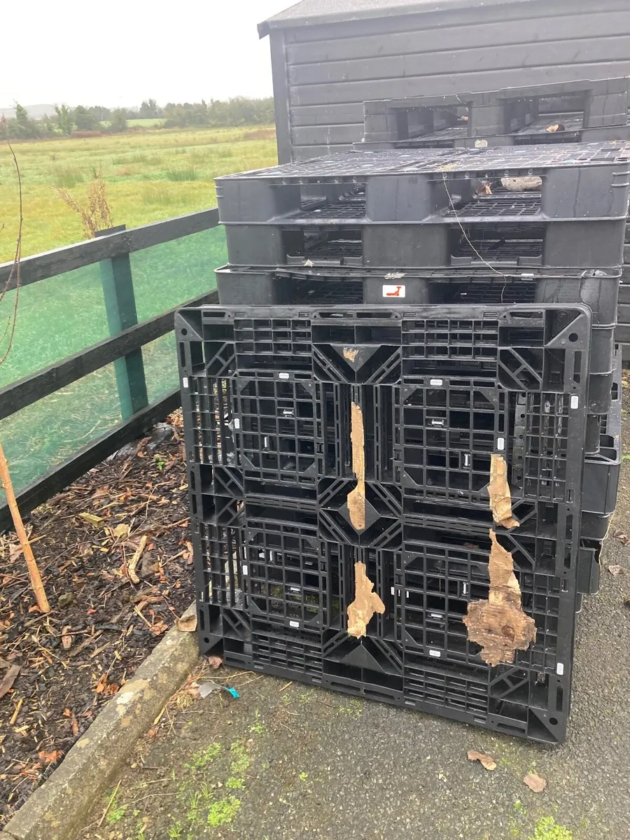 Plastic pallets for sale - Image 4