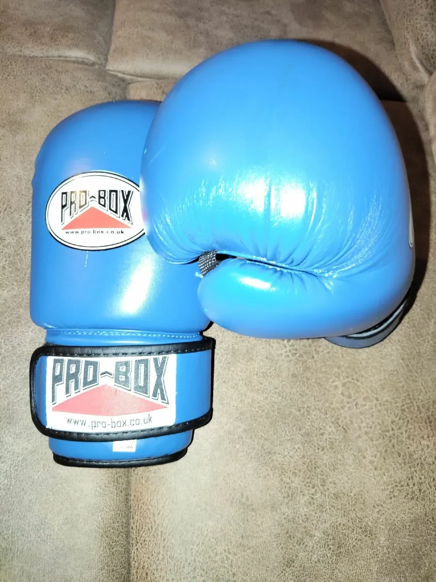 Pro box boxing gloves - Image 2