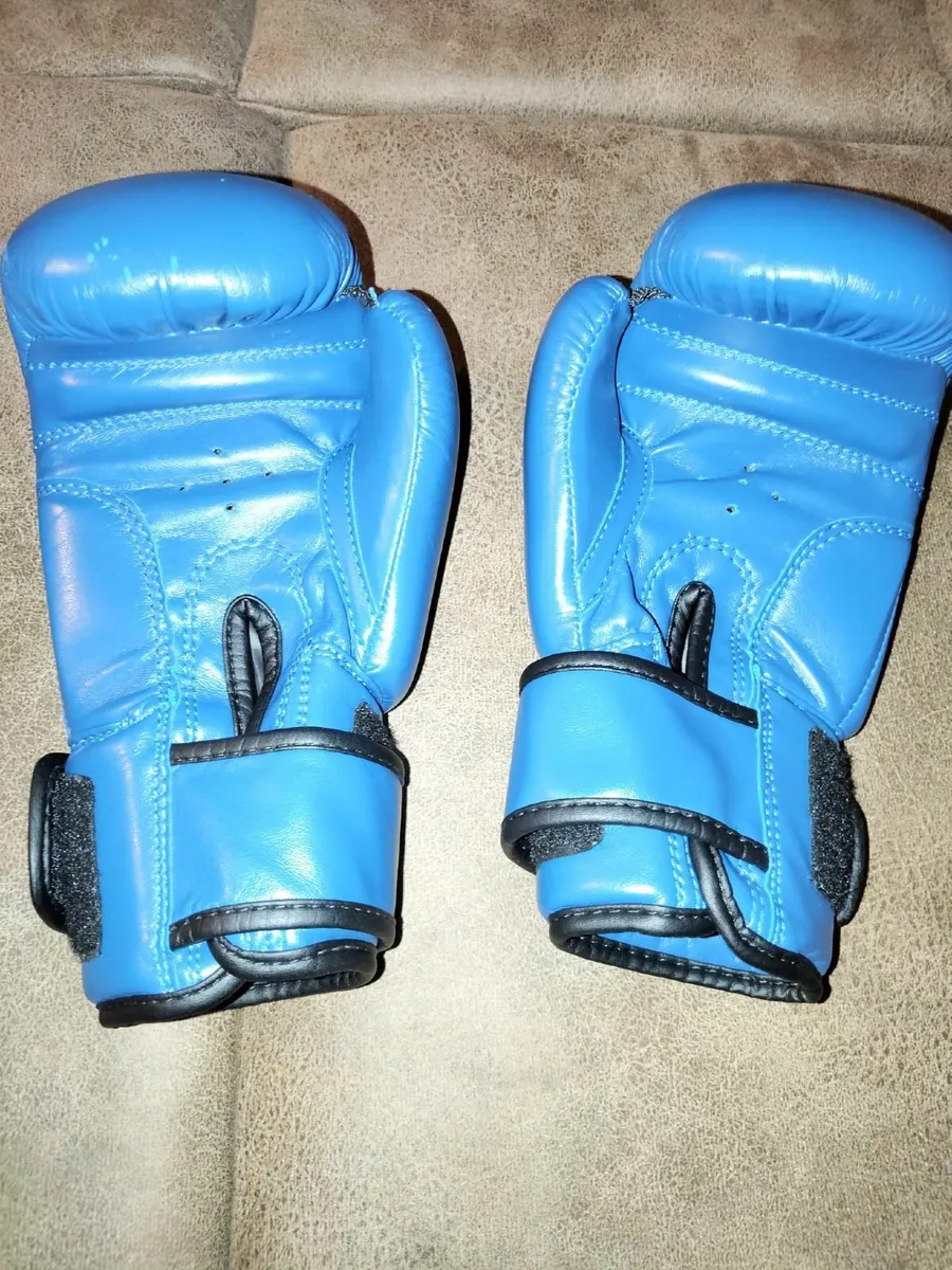 Pro box boxing gloves - Image 4