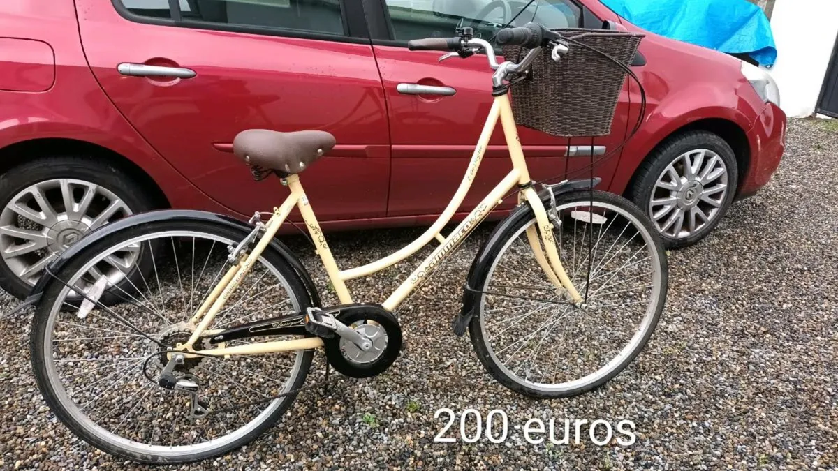 Garden equipment. - Image 1