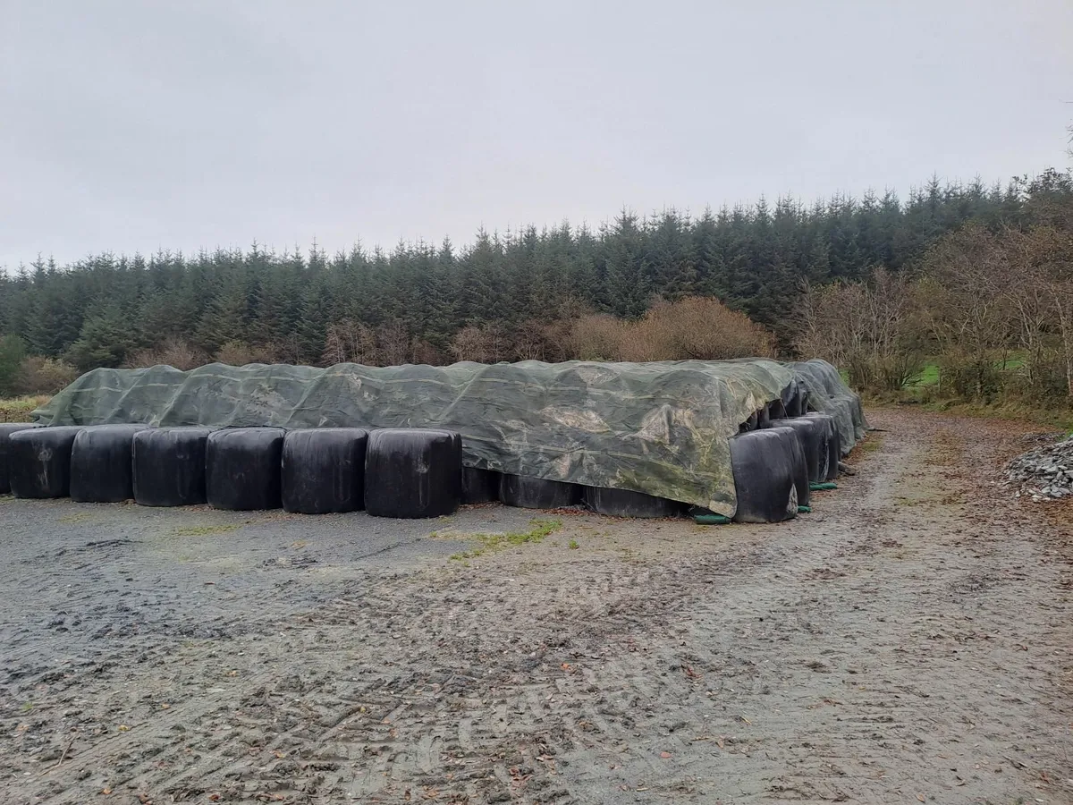 Round bale Silage - Image 1