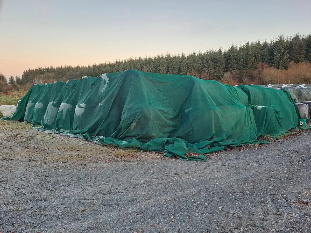 Round bale Silage - Image 2