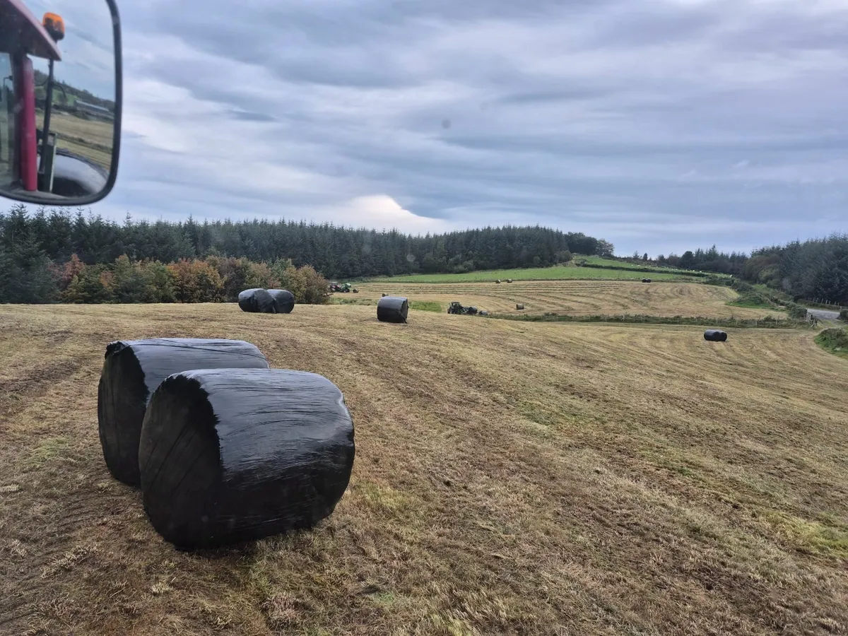 Round bale Silage - Image 3