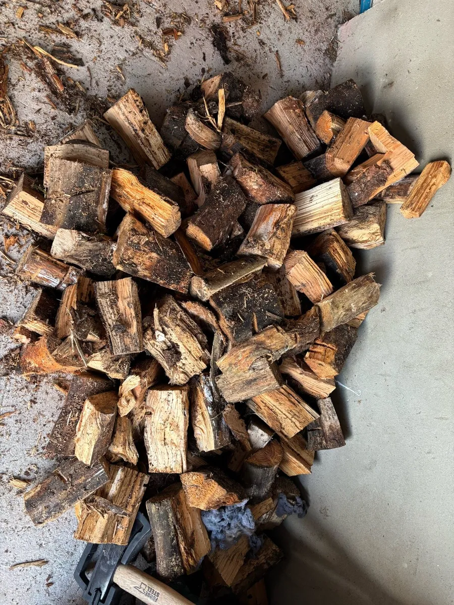 Firewood - Image 2