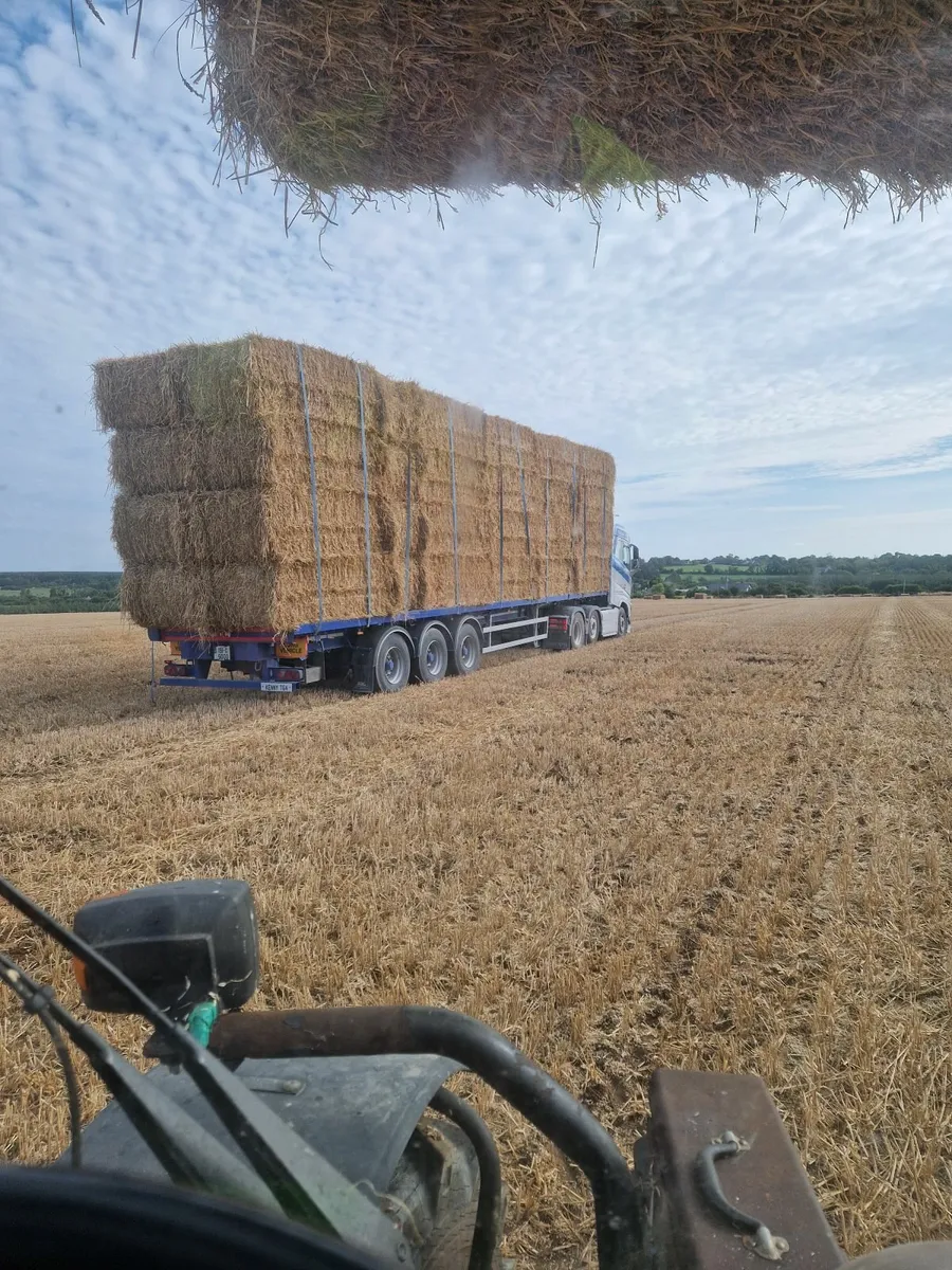 Barley rounds + Wheaten (8×4×3) straw - Image 1
