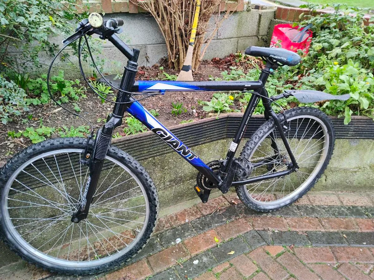 Giant mountain bike - Image 1