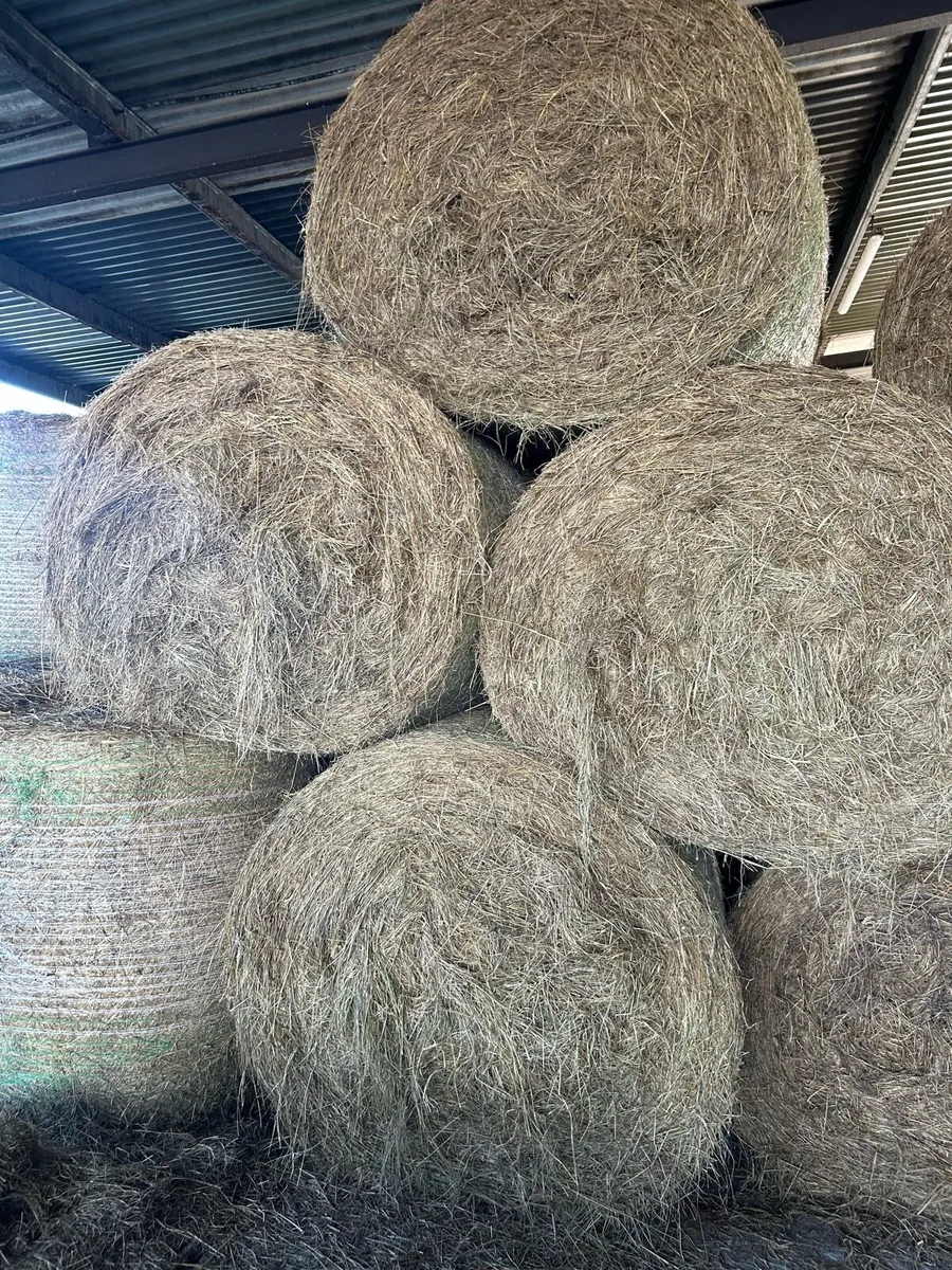 Bales of hay