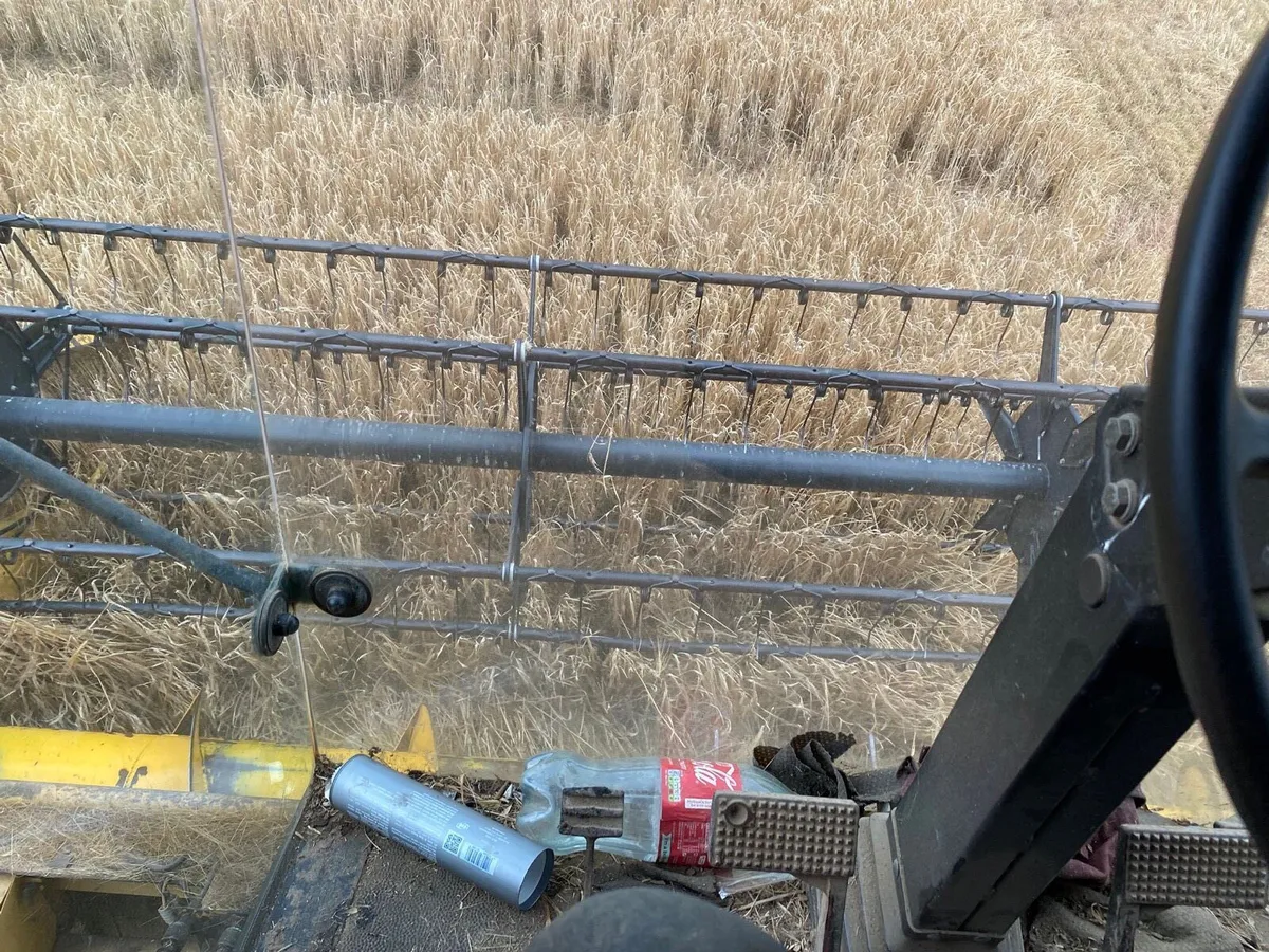 Combine harvester - Image 2