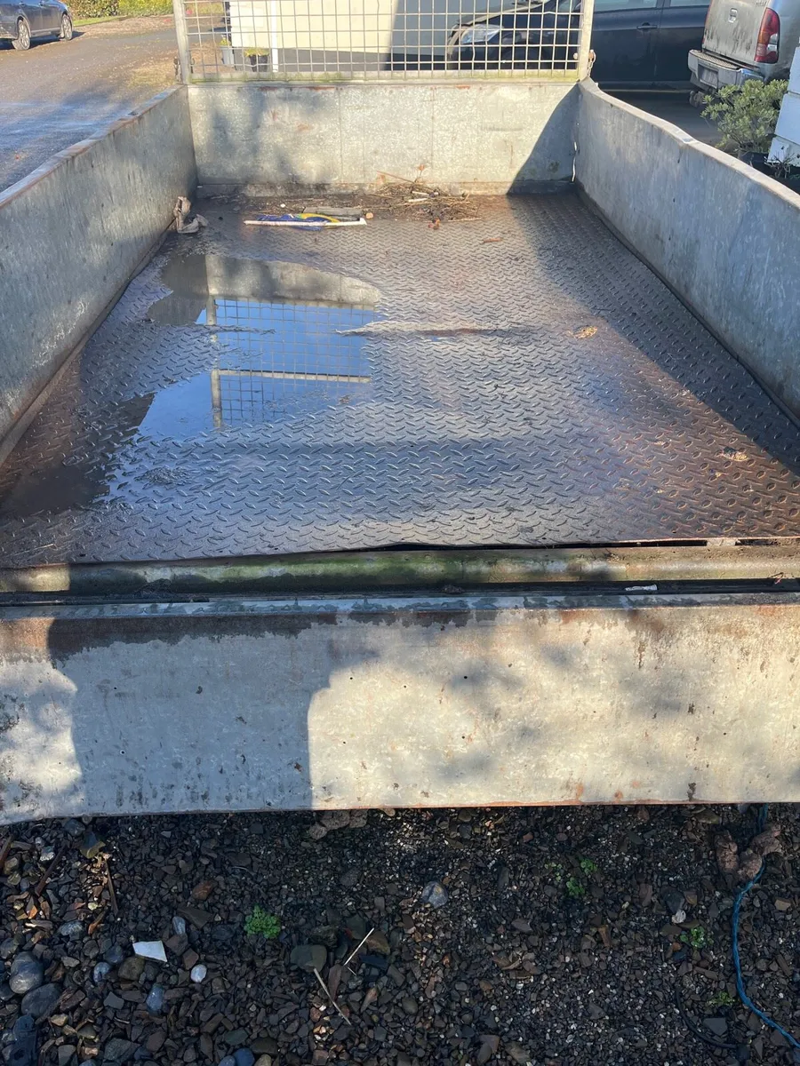 Ivor Williams 8by5 - Image 4