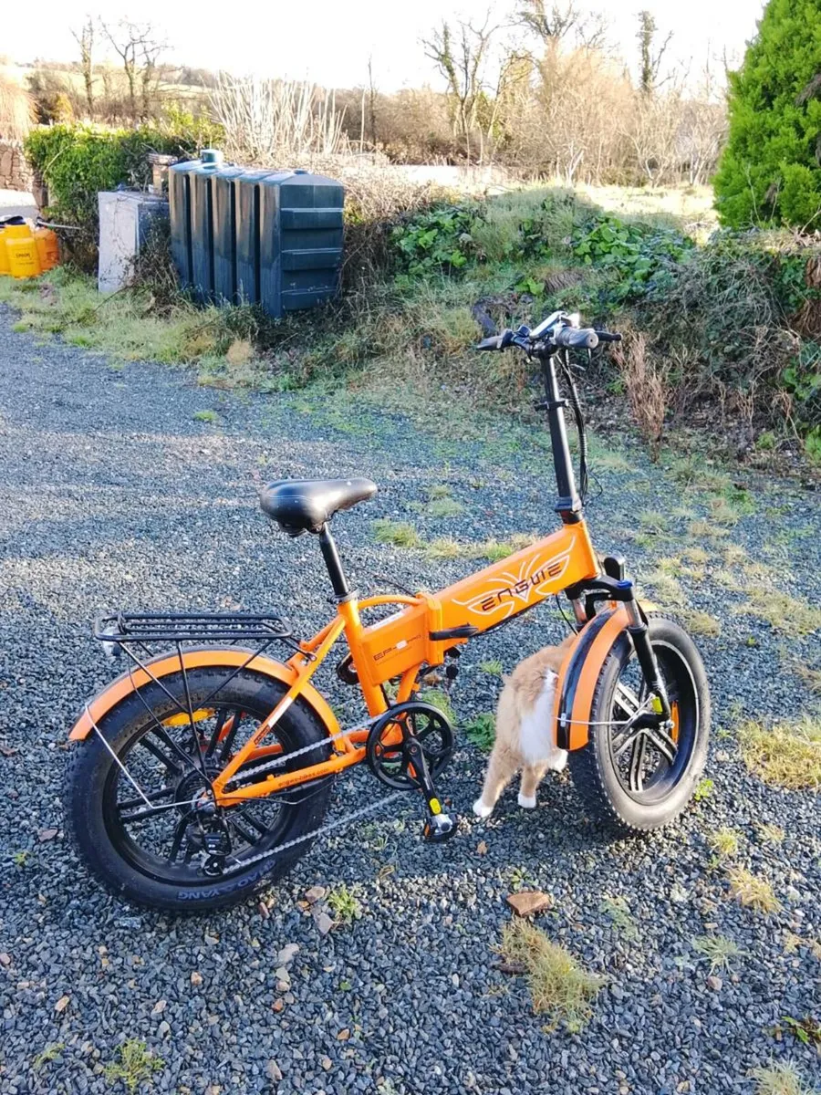 E Bike, Engwe Pro 2 (only used for 77kms) - Image 2