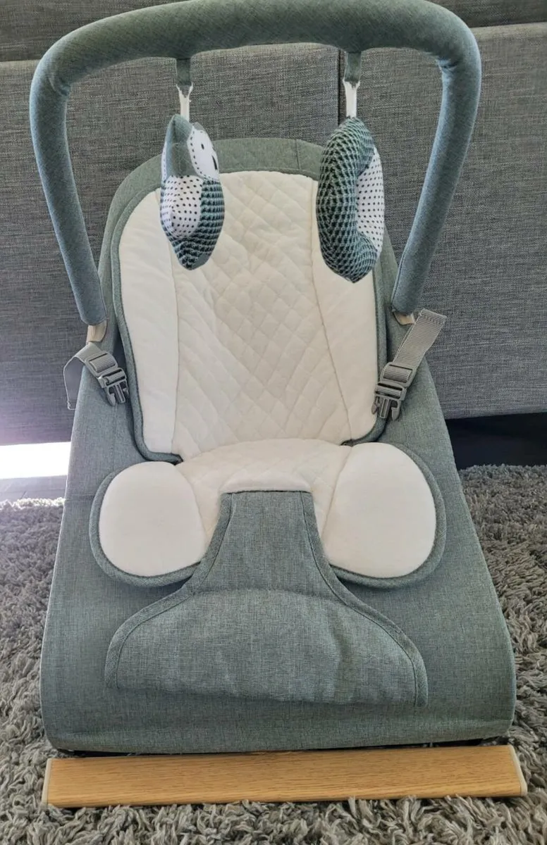 Nested Gravity baby bouncer - Image 1