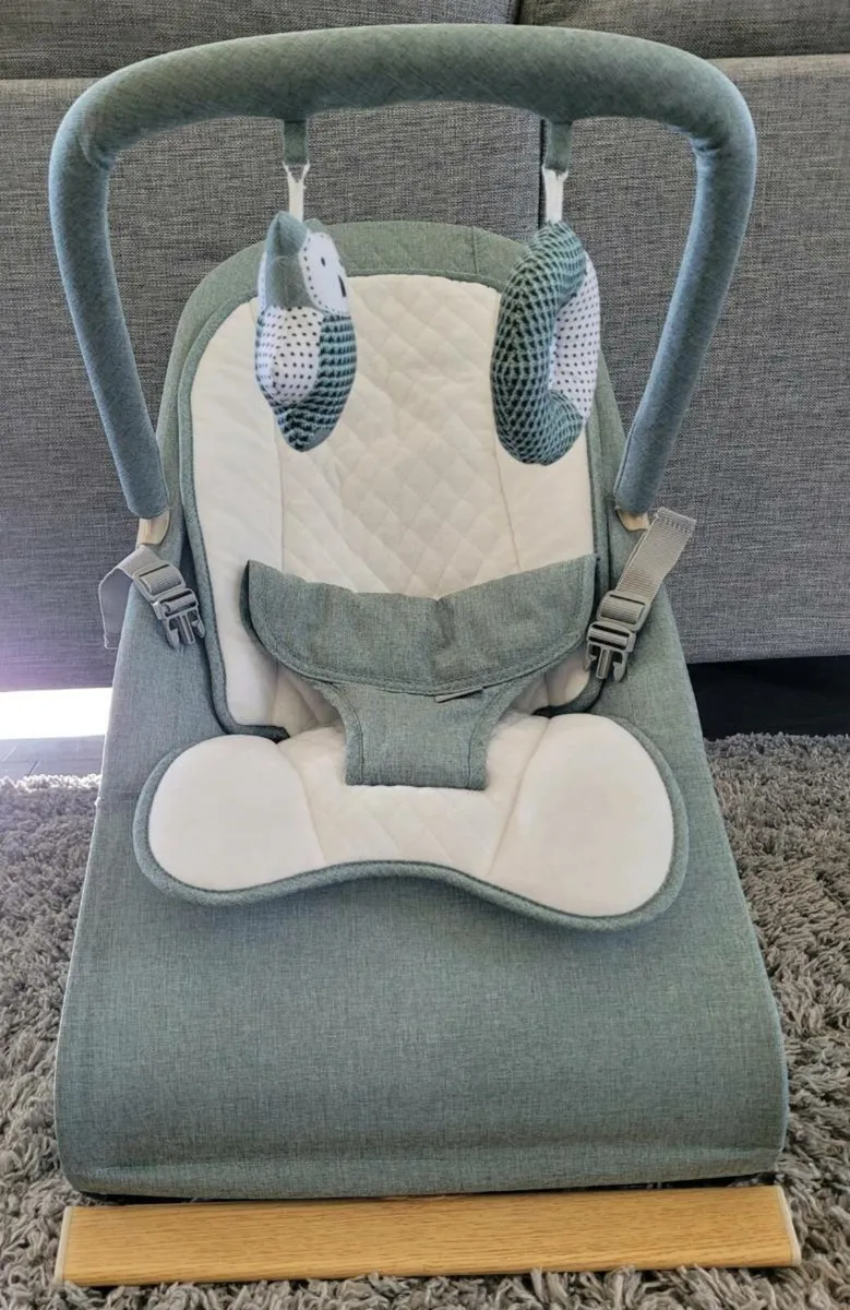 Nested Gravity baby bouncer - Image 2