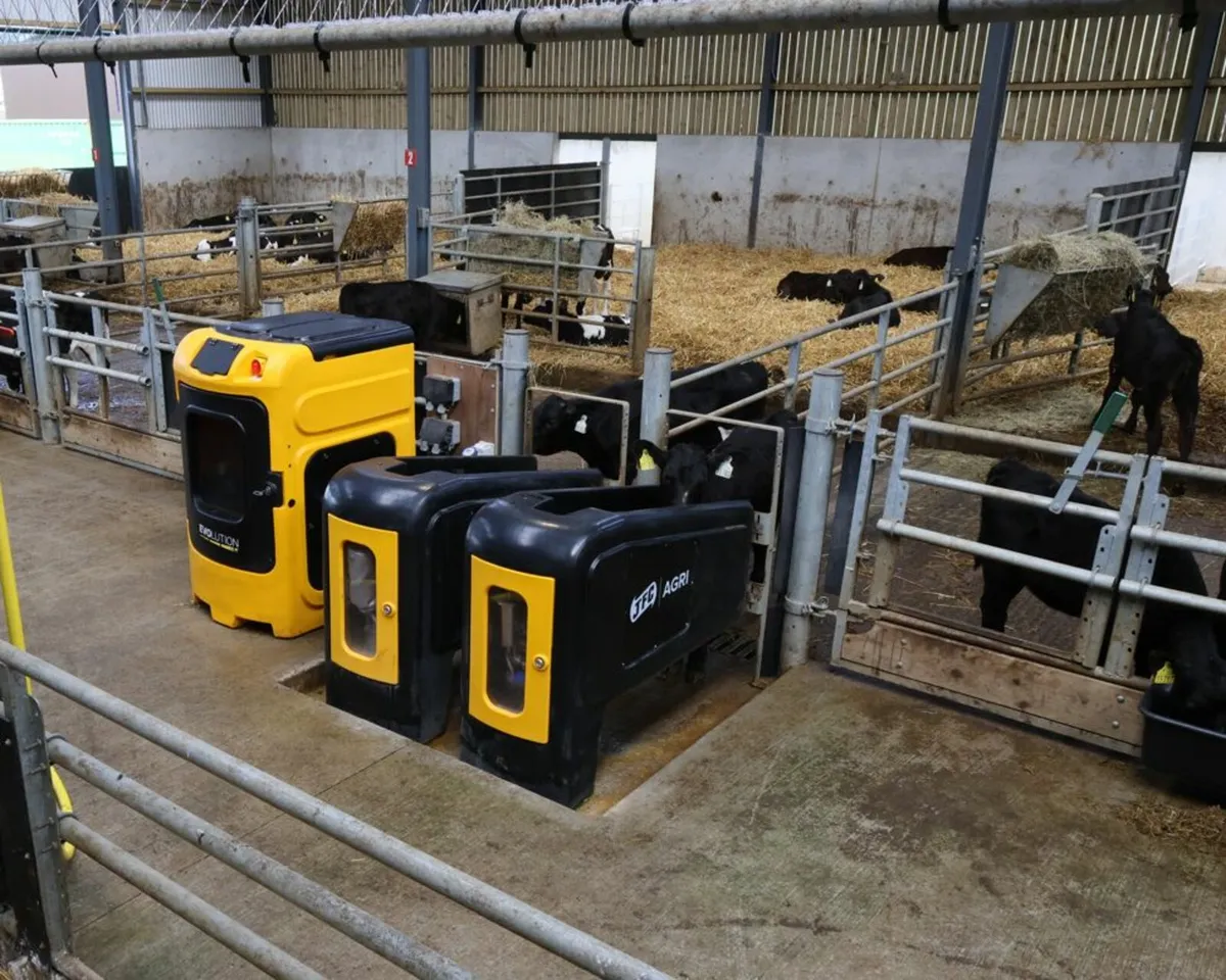 Automatic Calf Feeder - Image 4