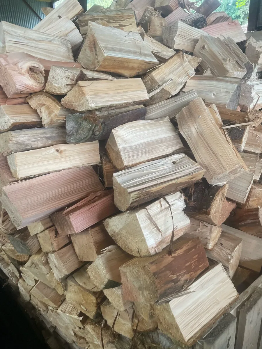 Firewood - Image 4