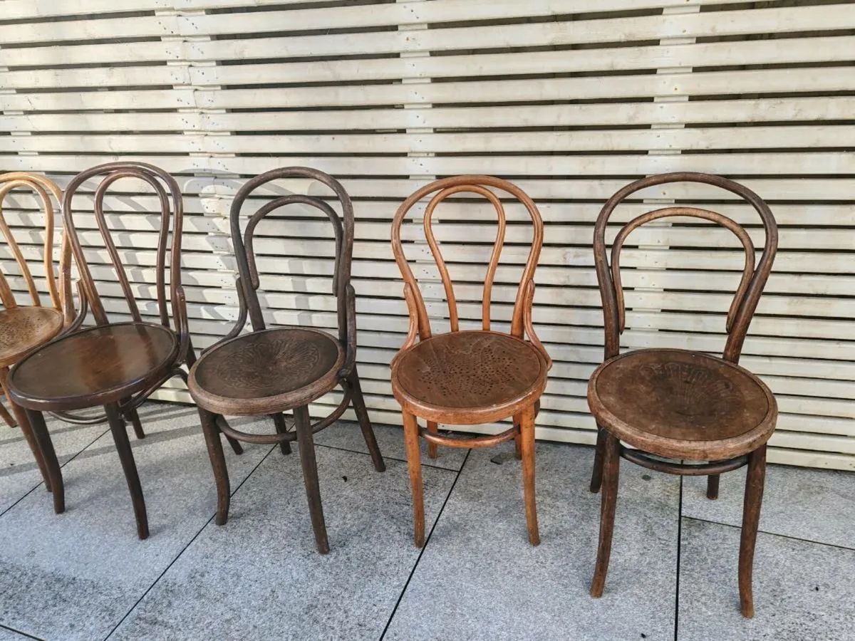 Vintage Bentwood Chairs - Image 1