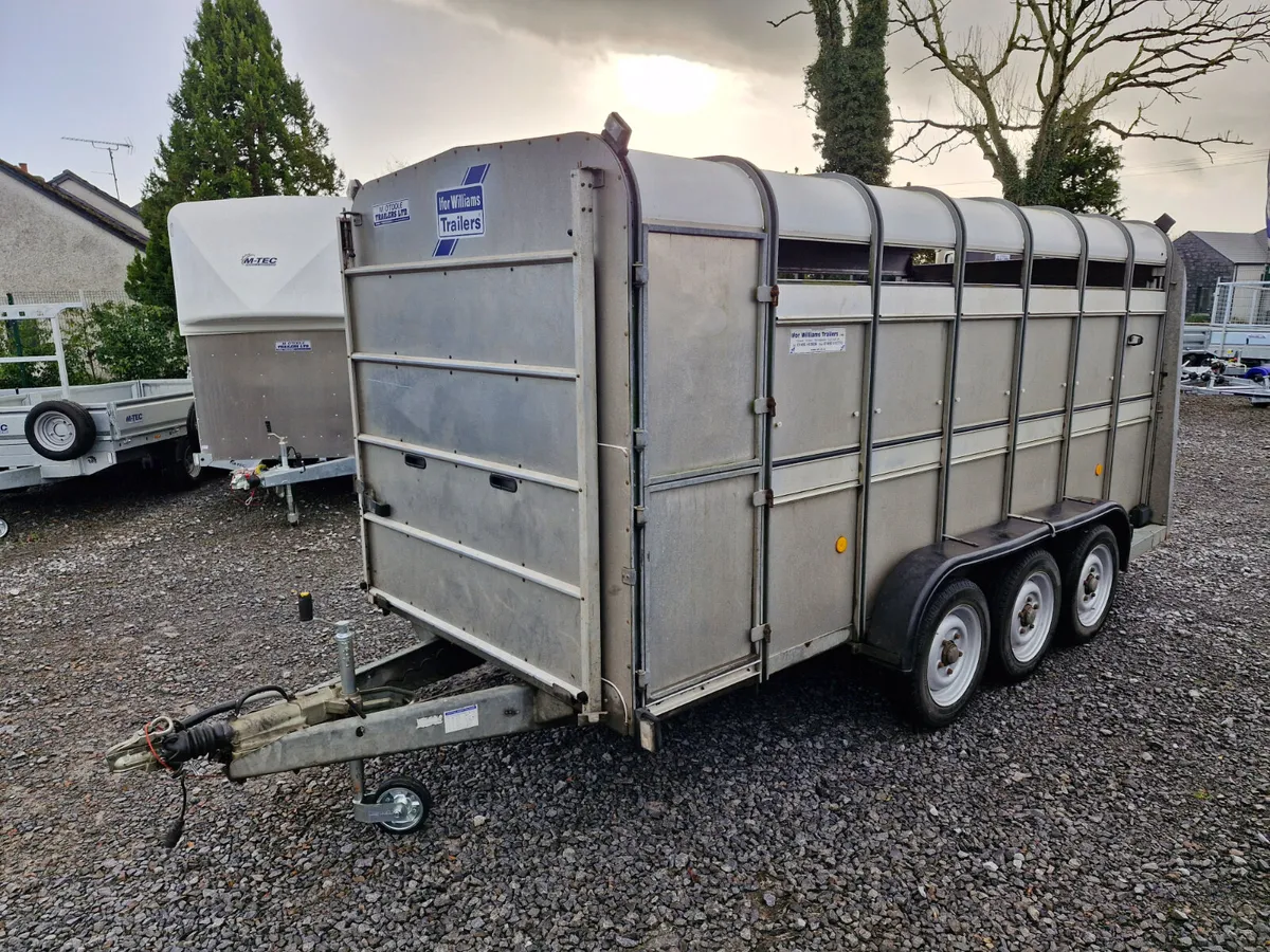 IFOR WILLIAMS   14' X 6'  CATTLE TRAILER - Image 2