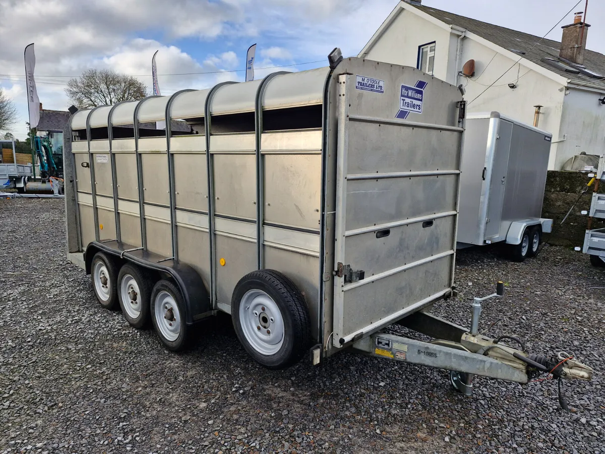 IFOR WILLIAMS   14' X 6'  CATTLE TRAILER - Image 1