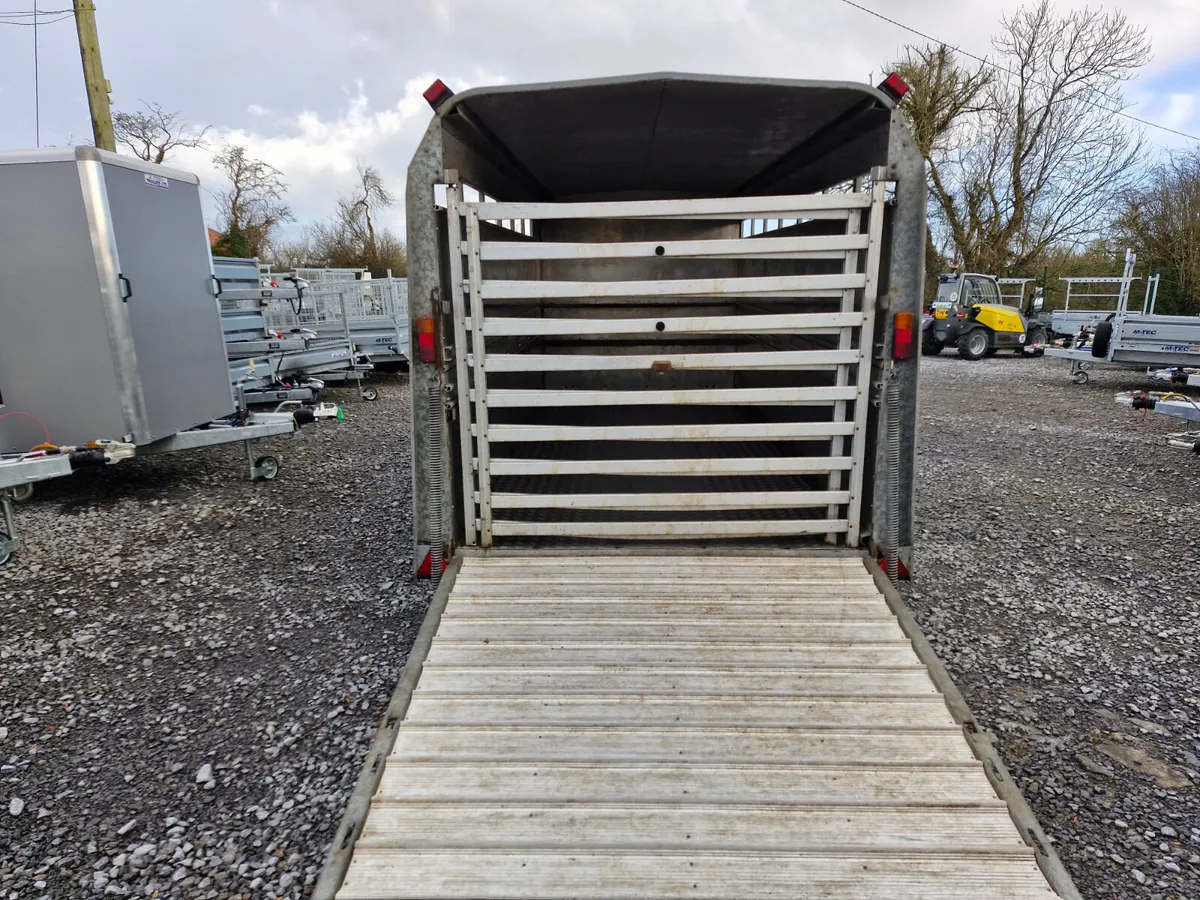 IFOR WILLIAMS   14' X 6'  CATTLE TRAILER - Image 4
