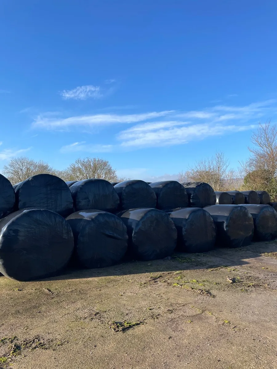 Silage bales