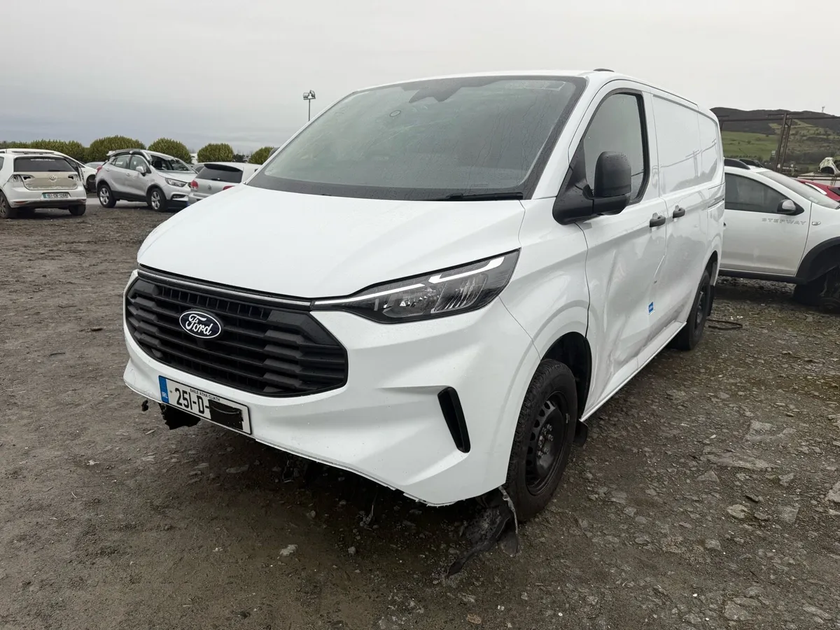 251 Ford Transit Custom - Image 1