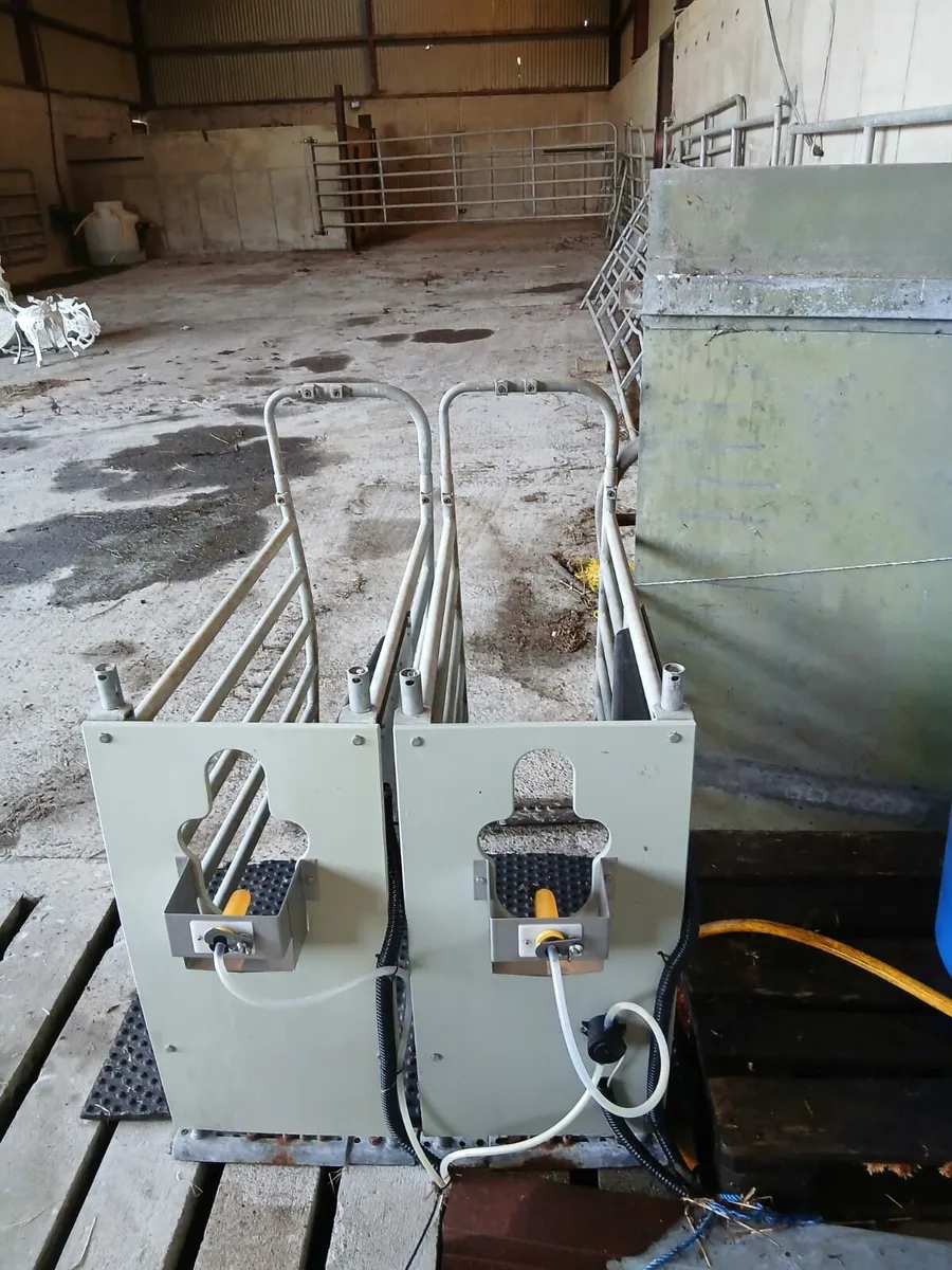 Automatic calf feeder - Image 2