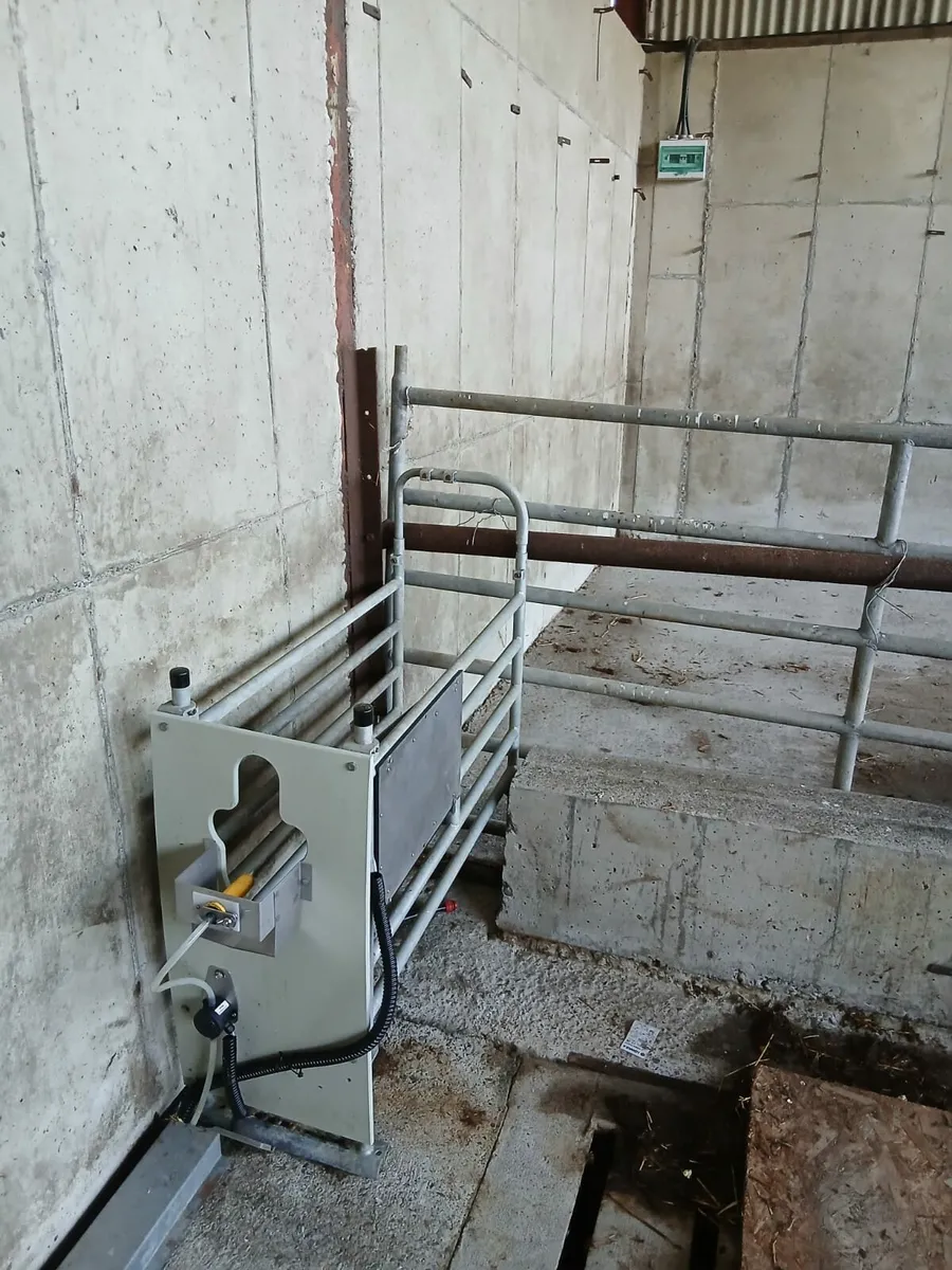 Automatic calf feeder - Image 3