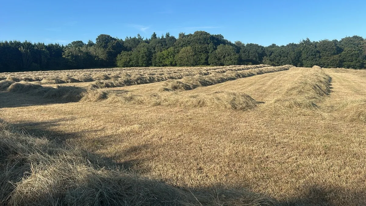 Silage & Hay - Image 2
