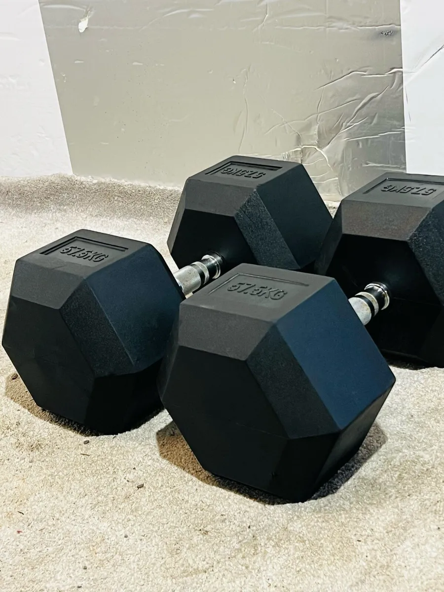 2 X 57.5 KG HEX DUMBBELLS - Image 1