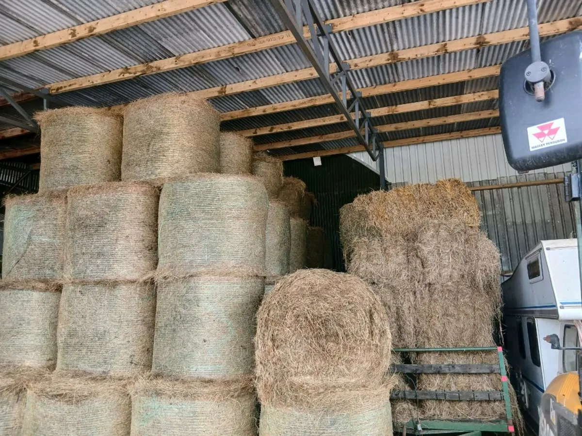 HAY FOR SALE - Image 2