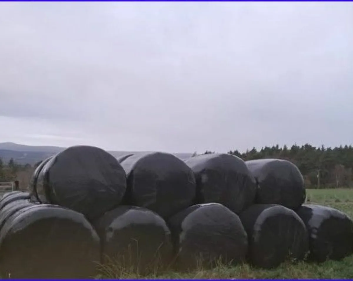 Silage bales