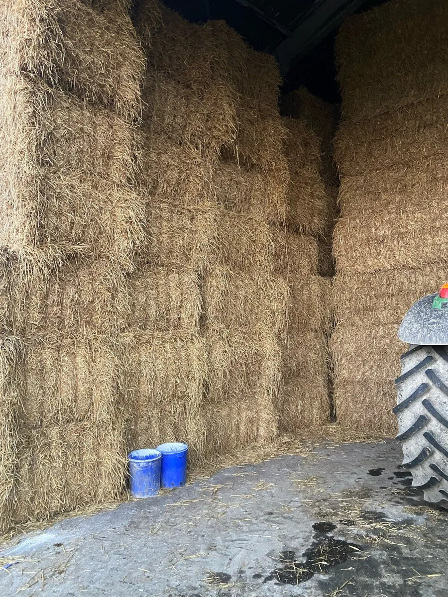 Hay + Straw - Image 1
