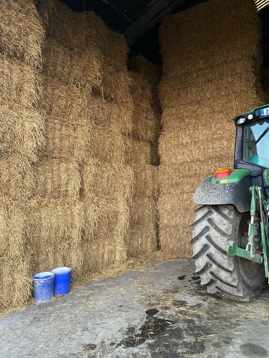 Hay + Straw - Image 2
