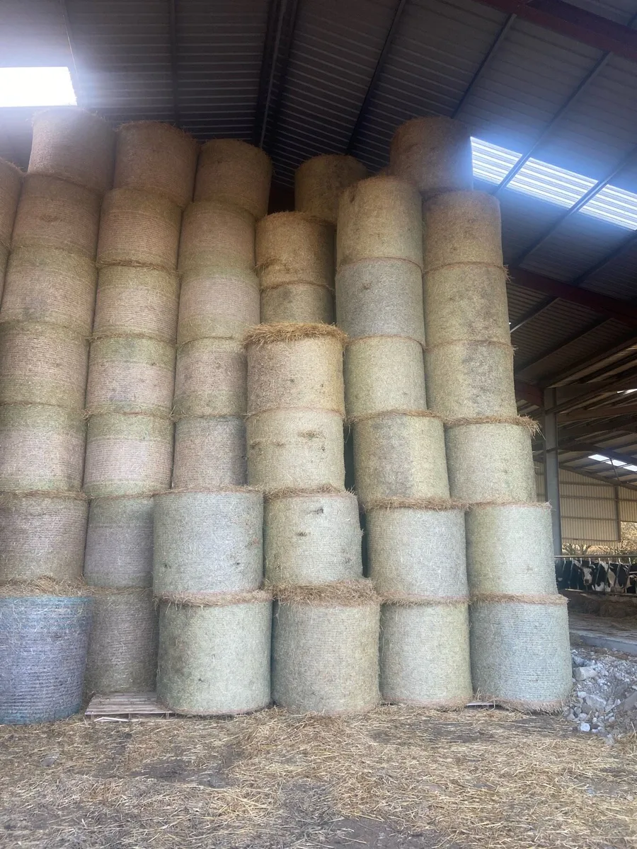 Hay + Straw - Image 4