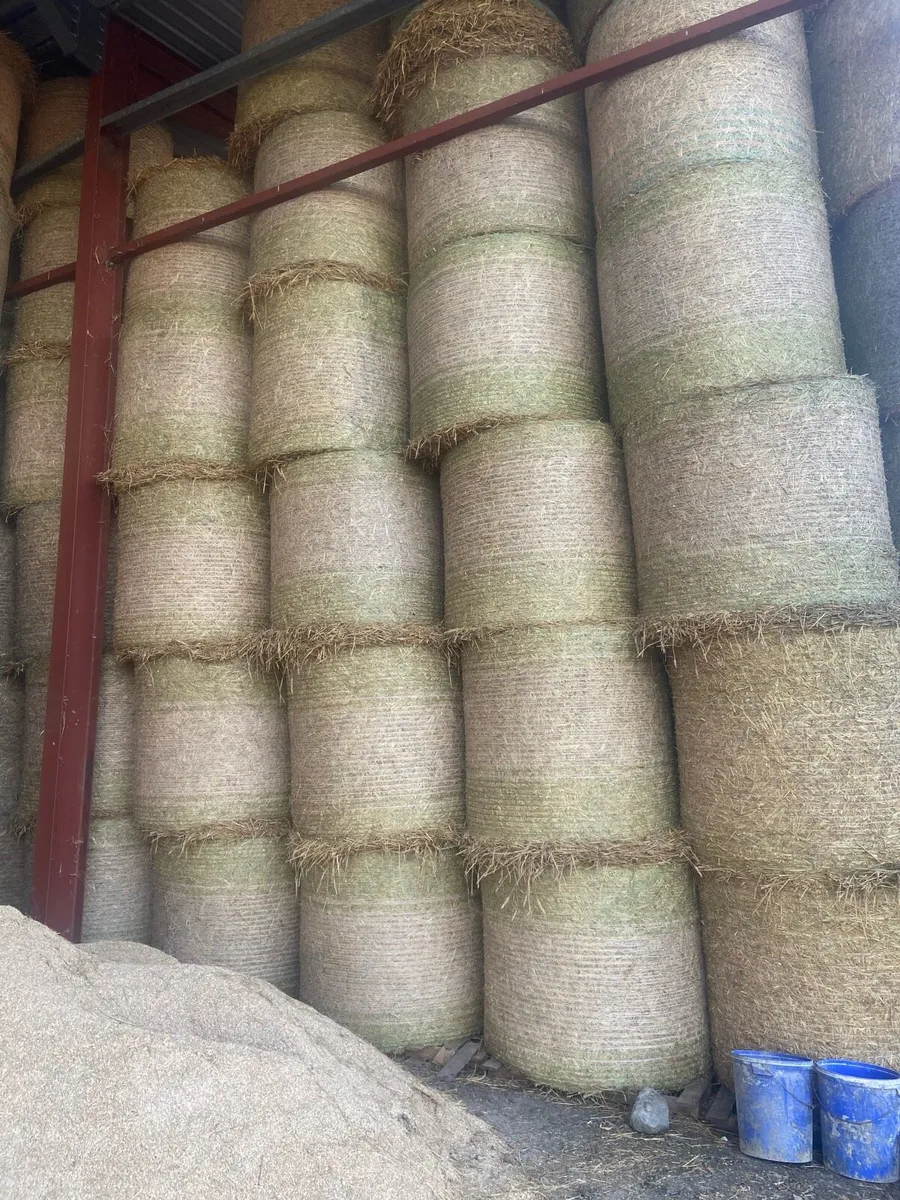 Hay + Straw - Image 3