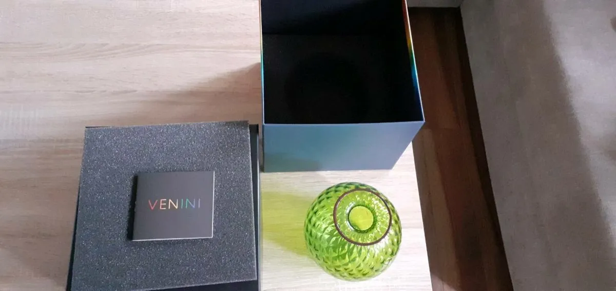 Venini vase collection - Image 4